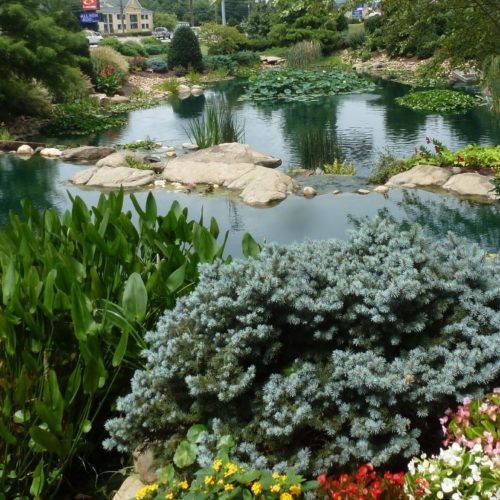 Gardens and ponds