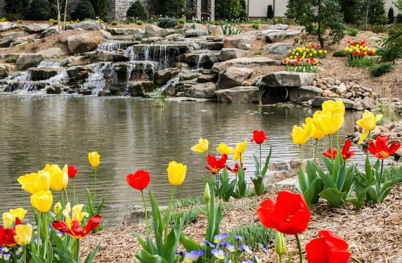 Gardens and ponds
