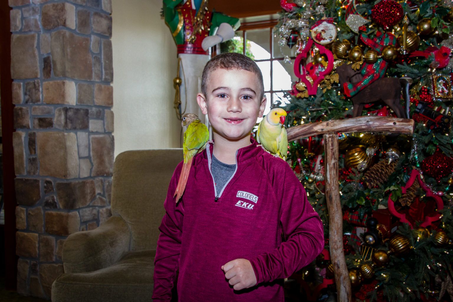 Mattyb Christmas 2022 Parrot Mountain | The Inn At Christmas Place - Pigeon Forge, Tn